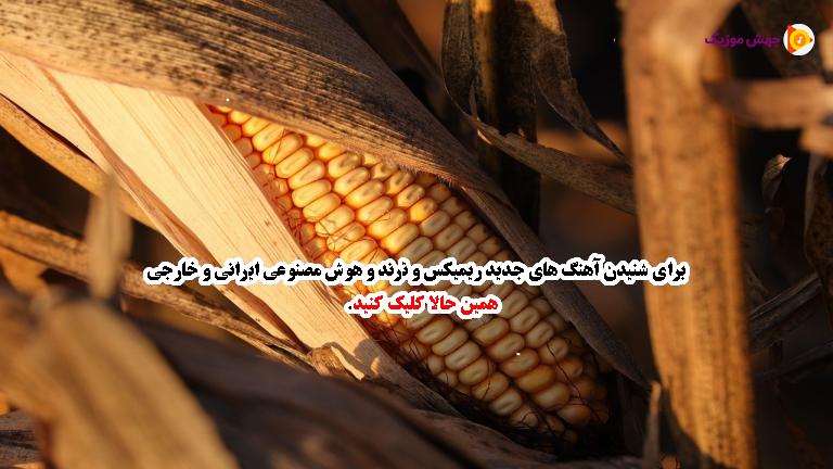 دانلود آهنگ فردا تو میایی (بعد از جدایی ها آن بی وفایی ها) از هوشمند عقیلی